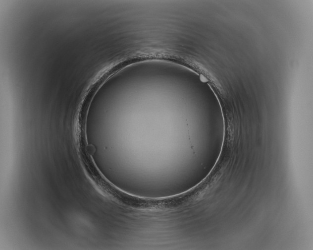 X0000115840674200911201553