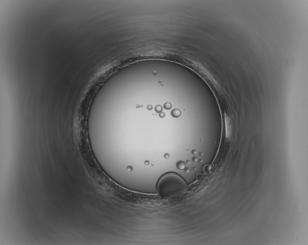 X0000115840675200911201553