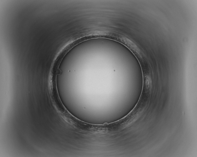 X0000115840676200911201553