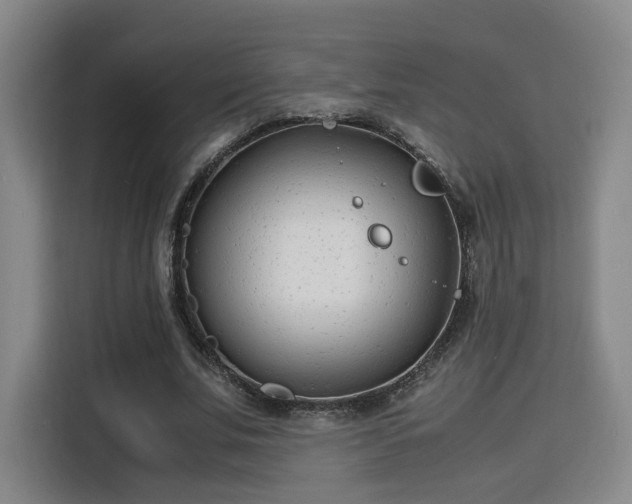 X0000115840679200911201553