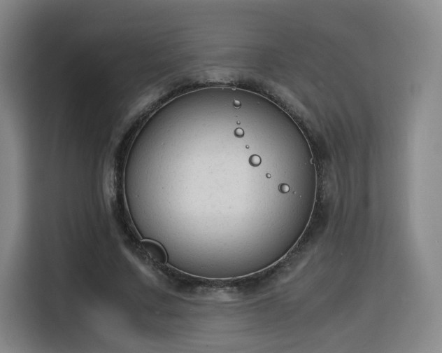 X0000115840683200911201553