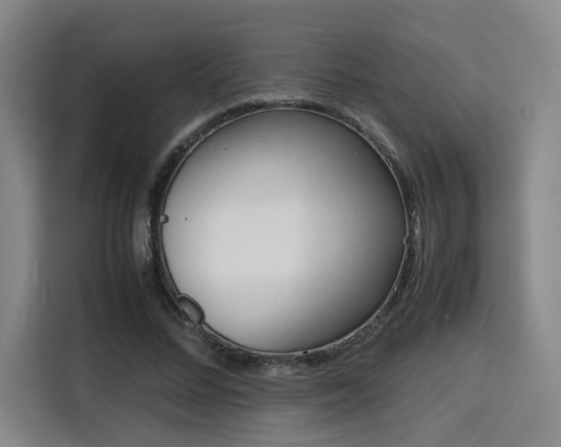 X0000115840684200911201553