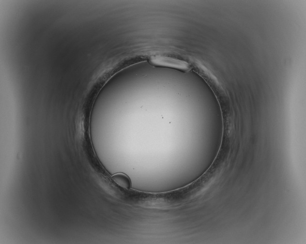 X0000115840685200911201553