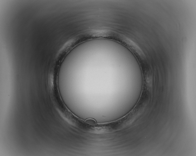 X0000115840686200911201553
