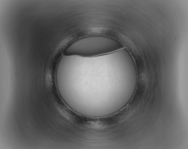 X0000115840688200911201553