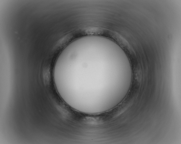 X0000115840690200911201553