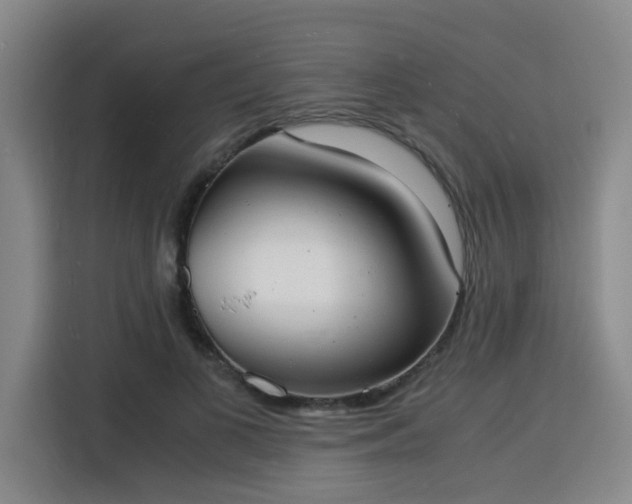 X0000115840693200911201553