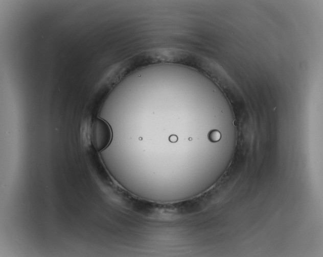 X0000115840694200911201553