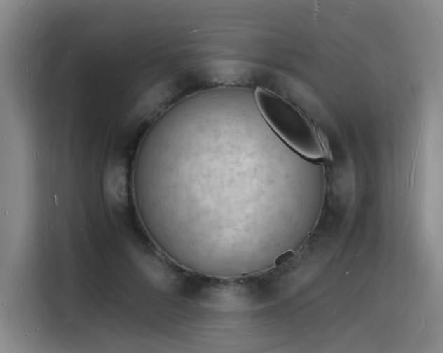 X0000115840696200911201553
