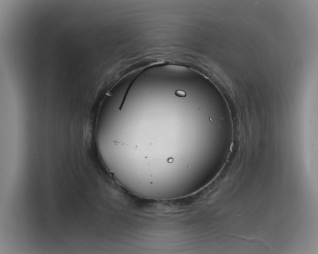 X0000115840697200911201553
