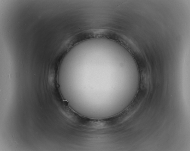 X0000115840698200911201553