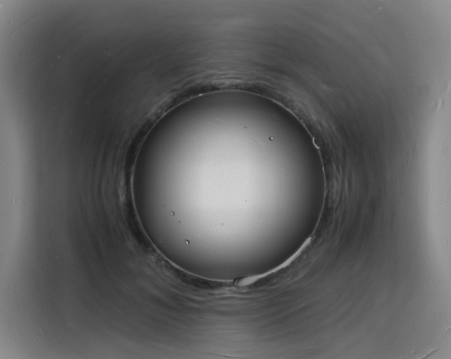X0000115840700200911201553