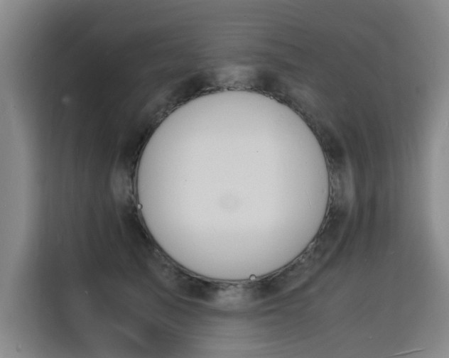 X0000115840705200911201553