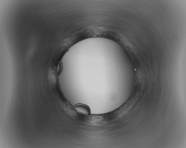 X0000115840719200911201553