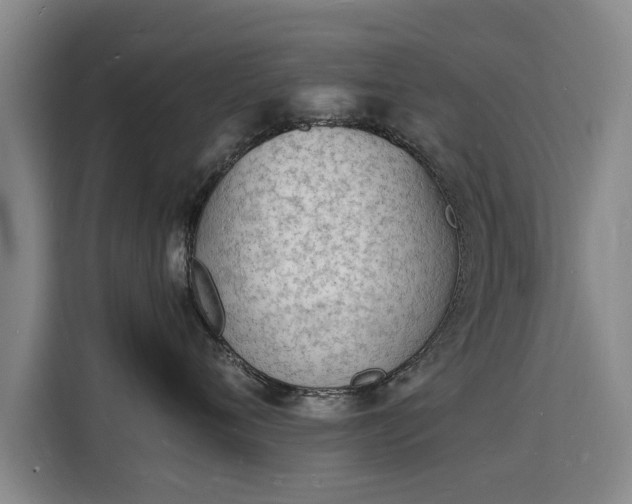 X0000115840720200911201553