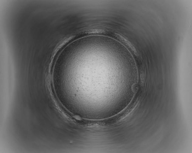 X0000115840721200911201552