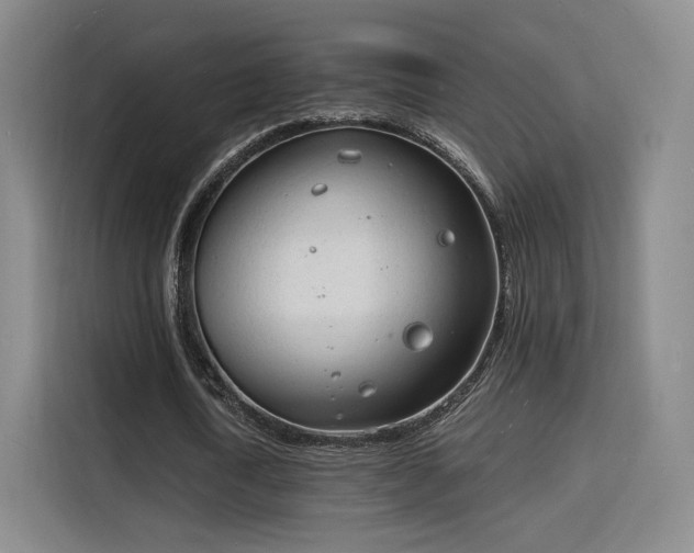 X0000115840722200911201552
