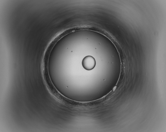 X0000115840726200911201552