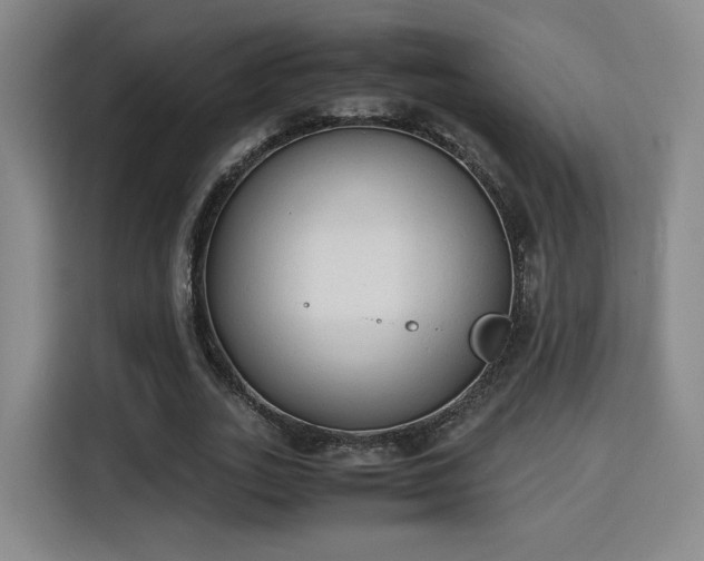 X0000115840727200911201552