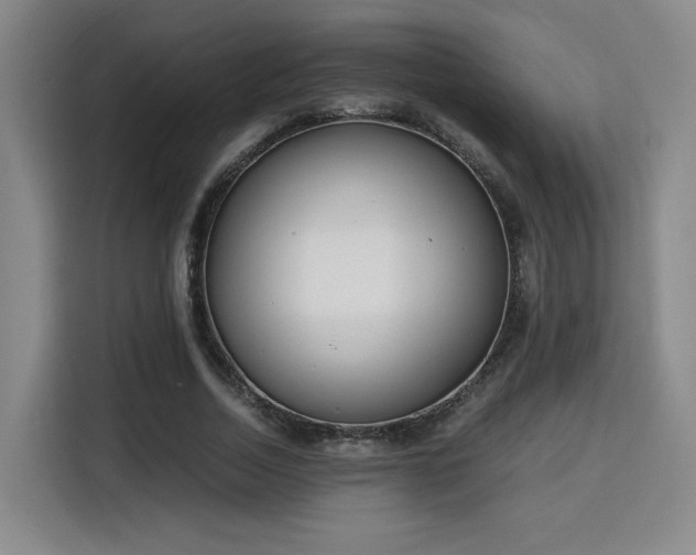 X0000115840730200911201552