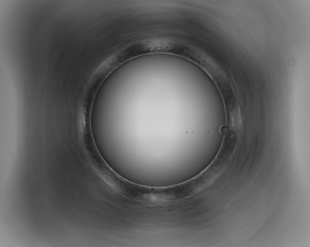 X0000115840733200911201552
