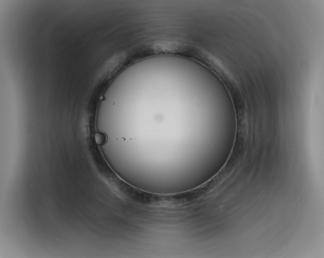 X0000115840738200911201552