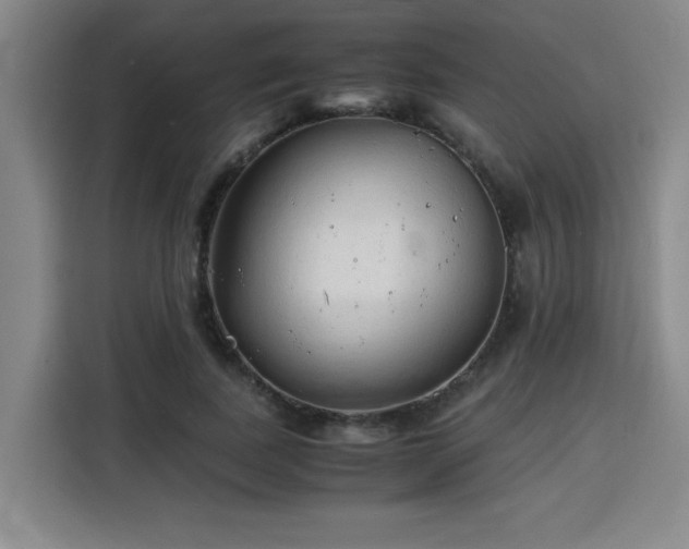 X0000115840739200911201552