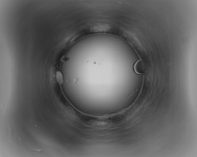 X0000115840743200911201552