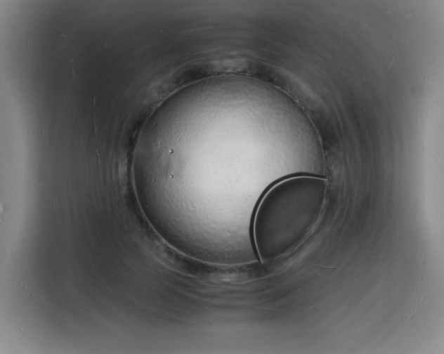 X0000115840745200911201552