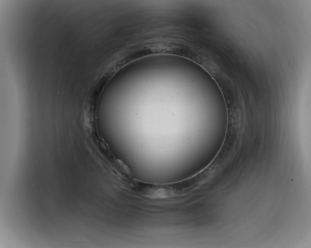 X0000115840755200911201552
