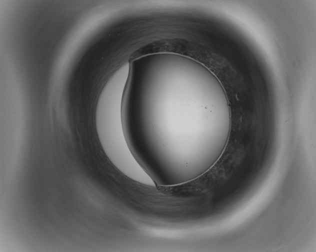 X0000115840766200911201552