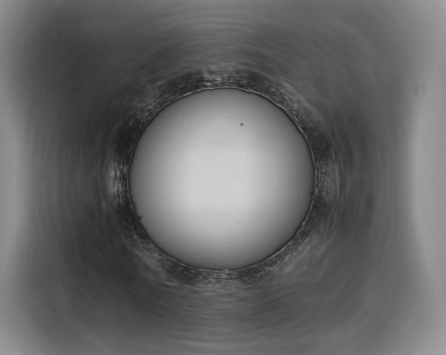 X0000115840770200911201552