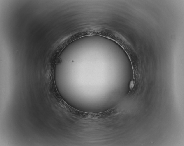 X0000115840773200911201552