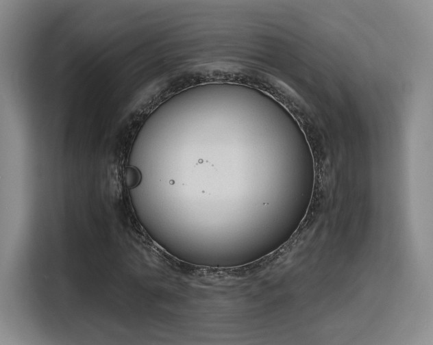 X0000115840774200911201552