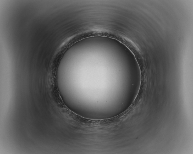 X0000115840776200911201552