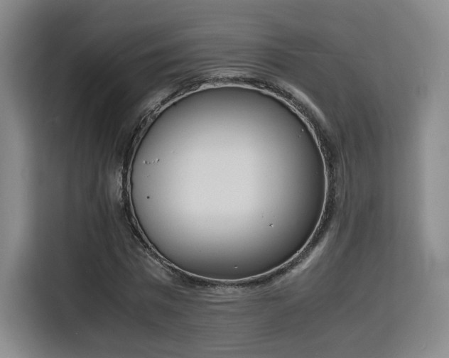 X0000115840777200911201552
