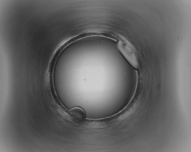 X0000115840779200911201552
