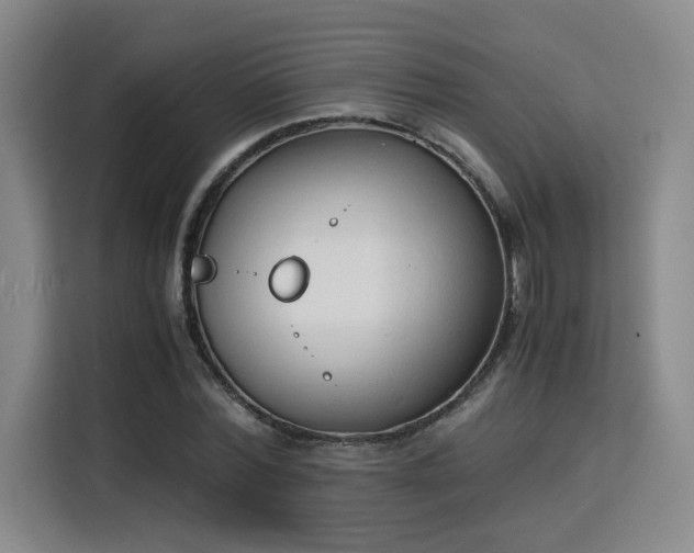 X0000115840780200911201552