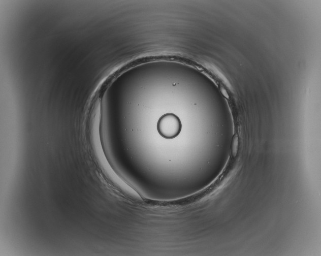 X0000115840781200911201552