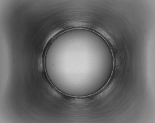 X0000115840782200911201552