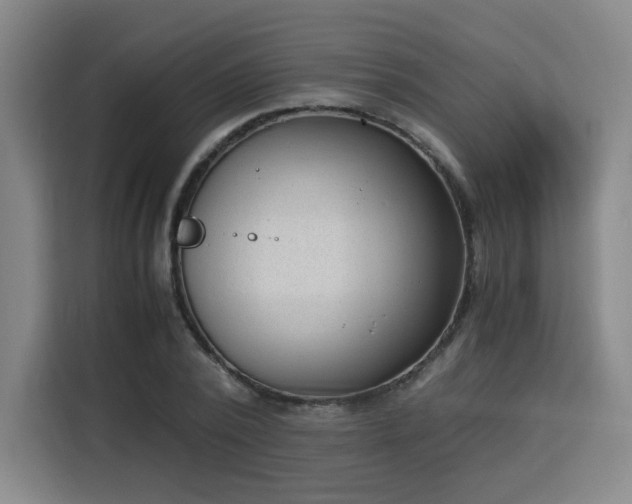X0000115840784200911201552
