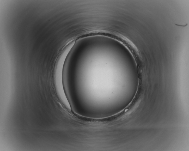 X0000115840785200911201552