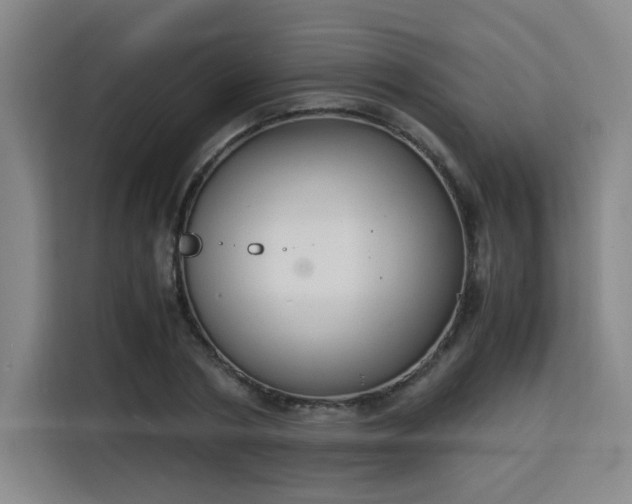 X0000115840786200911201552