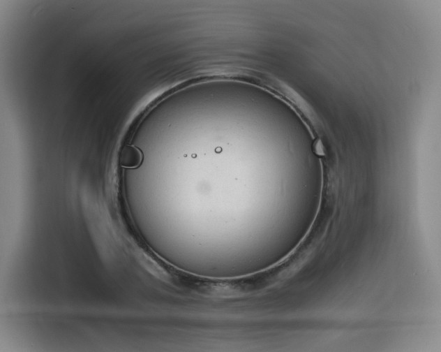 X0000115840787200911201552