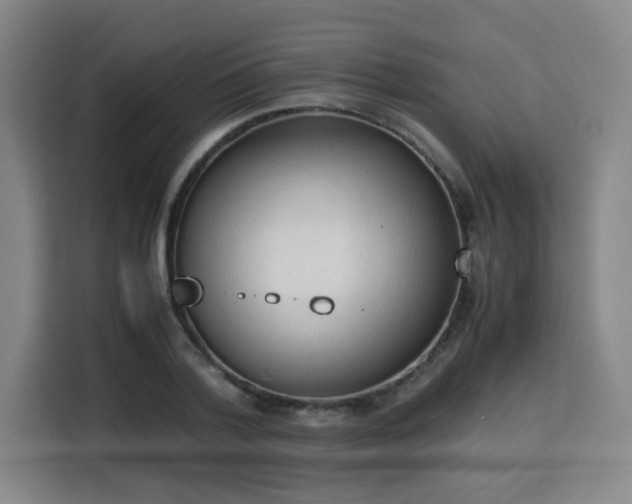 X0000115840788200911201552