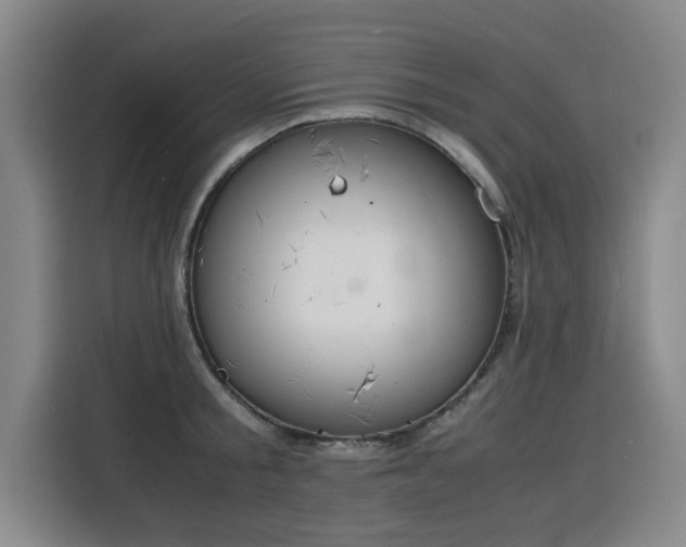X0000115840805200911201551