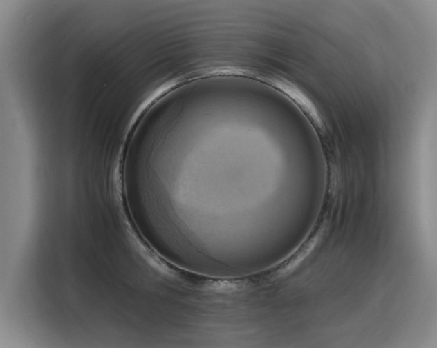 X0000115840806200911201551