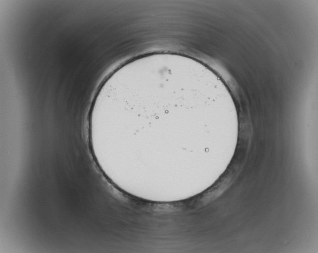 X0000115840807200911201551