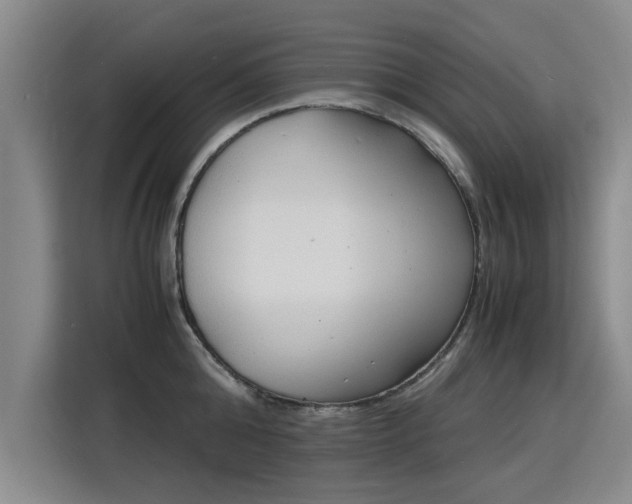 X0000115840808200911201551