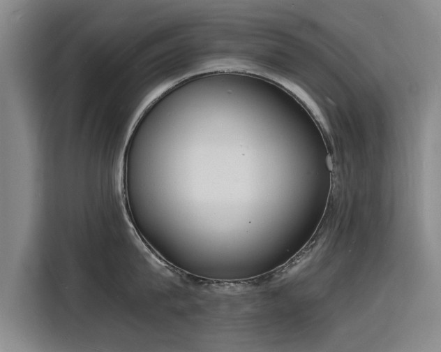 X0000115840815200911201551